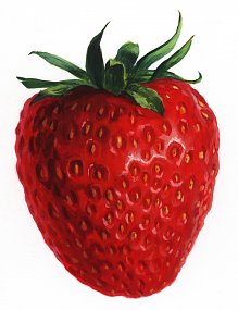 Erdbeer Combino