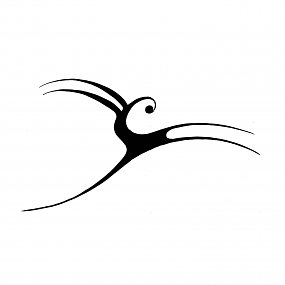 Capricorno