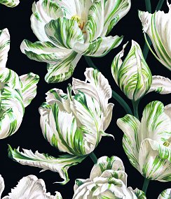 Illustration Farbe