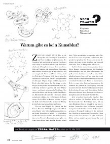 Kunstblut